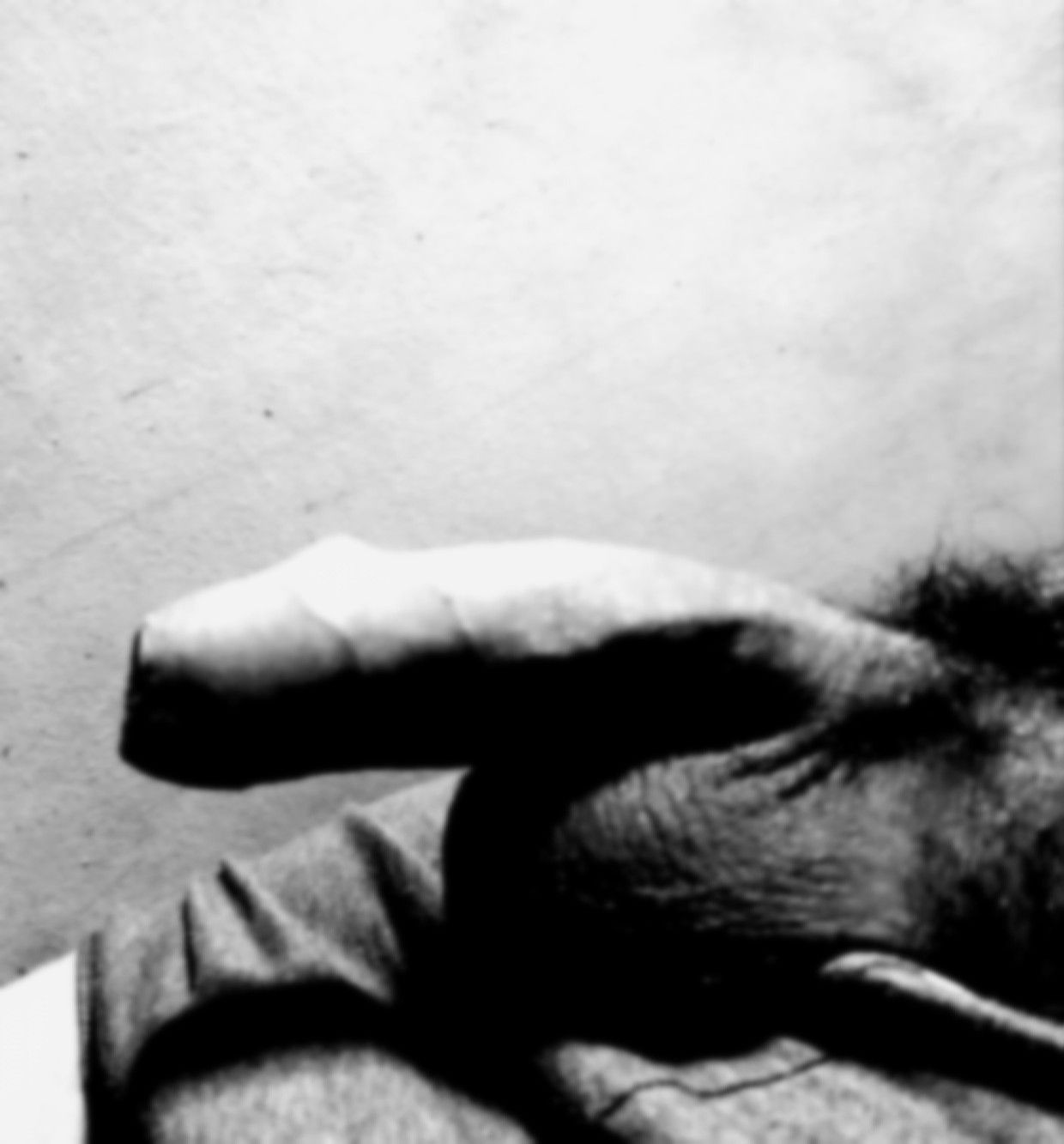 Erect Cock Erotic Art Erect Cock Erotic Art